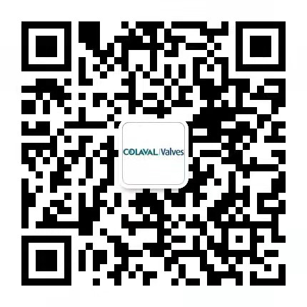 300X緩閉式止回閥-緩閉止回閥-不銹鋼閘閥_球閥_蝶閥_止回閥_調節閥_截止閥-可拉伐閥門(上海)有限公司微信二維碼